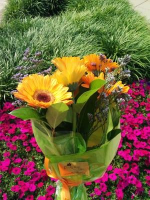 $25 for half a dozen gerbera daisies arrangement