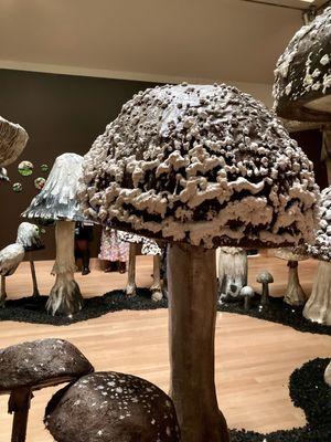 Mushroom exhibit