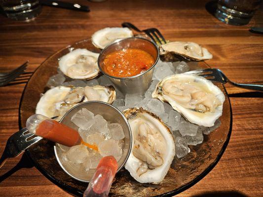 East coast oysters