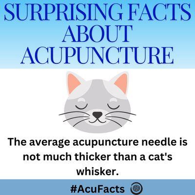 Acupuncture needles are much thinner than the needles your doctor uses.