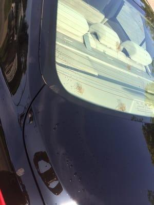 "Premium" wash did not get the bird poop off the rear windshield.