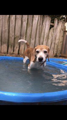 Cooling down Poolside at Hidden Acres