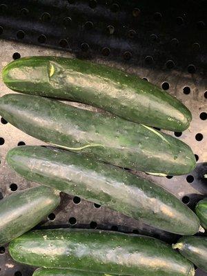 Rotten, split cucumbers