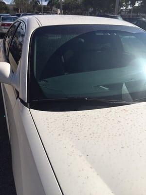 My car after $9 "premium" car wash. Total joke.