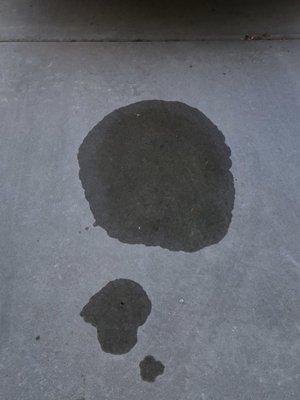 Oil spot in our driveway following visit to Jiffy Lube