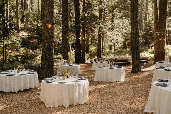 Linens from Premiere Rentals