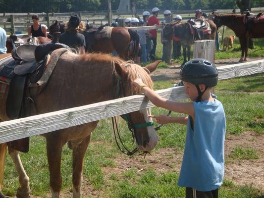 Camp Ondessonk Horses