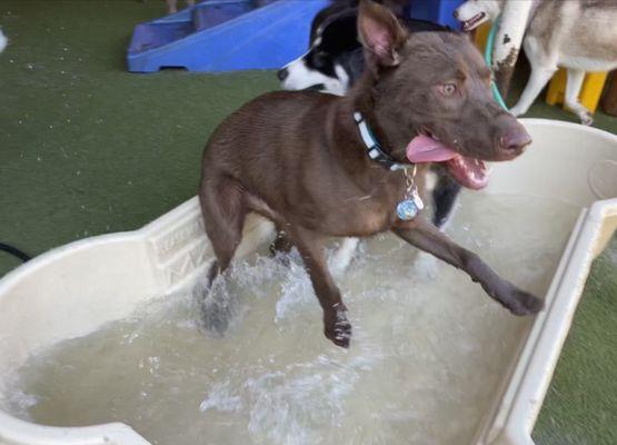 He loves the water and outdoors.