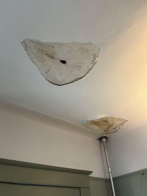 Ceiling damage in two places - BEFORE