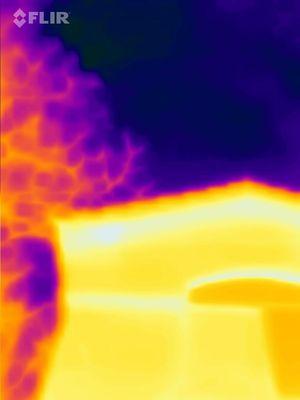 Here is a FLIR thermal image of bees in a stucco covered eve.