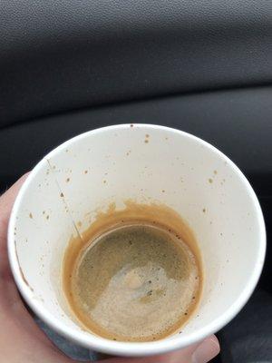 Espresso actually decent today by Dunkin standards: some "crema" and not complete sludge taste!