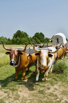 🐂Oregon Trail Museum & Visitors Center🐂