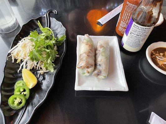 Grilled Chicken Spring Rolls