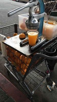 Fresh OJ / Jugo de Naranja