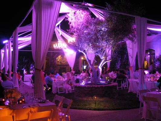 Party Rentals Orange County