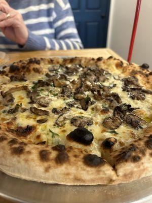 Mushroom pizza