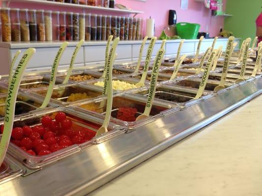 Just a few of the multitude of toppings