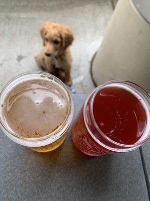 Blueberry Sour & Ground Rush IPA and a puppy. #brewdog