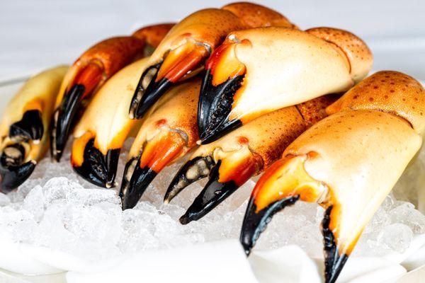 Florida stone crab claws