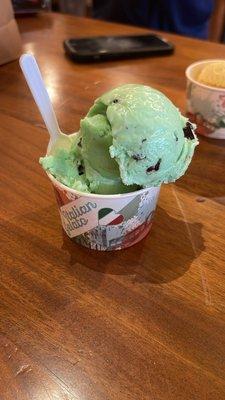 Mint and Chocolate Gelato