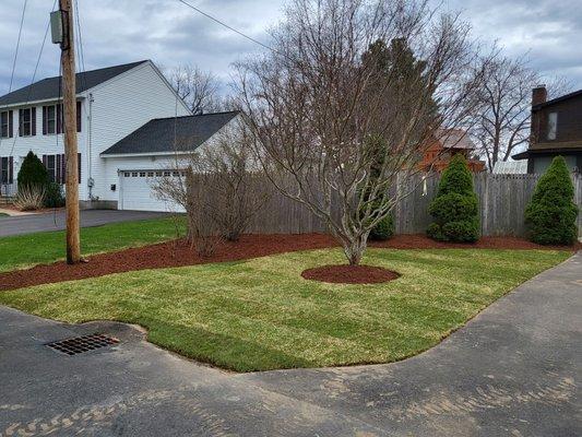 Sod Installation, Planting, and Mulching.