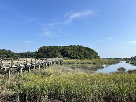 Uncle Tim's Bridge