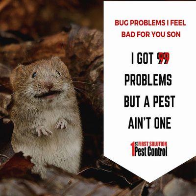 1st Solution Pest Control