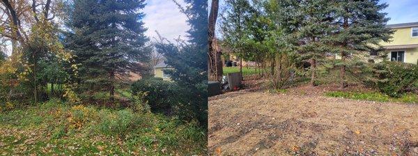 Before & after of our landscaping