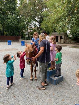 Pony Rides!