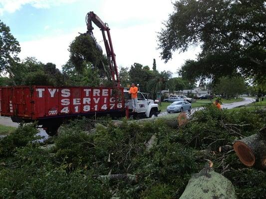 All types tree work, business or residential