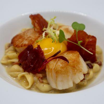 Pan Roasted Scallops with Tiny Shell Pasta Carbonara, Black Pepper, Soft Farm Egg & Crispy Prosciutto