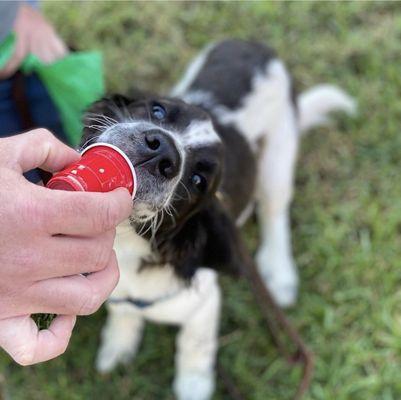 Woofbowl