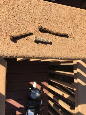 Their thorough inspection of the ground where the liner will go found old rotted nails that could have torn through the new liner