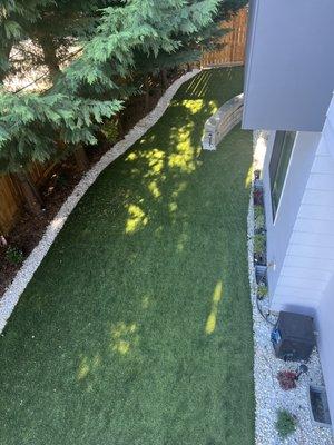 Turf in the  backyard