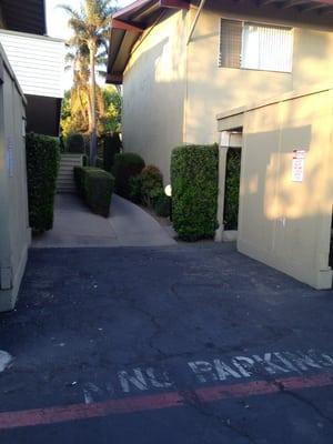 The only guest parking spot they have is a "NO PARKING" zone! Ha ha ITS SO TRUE!