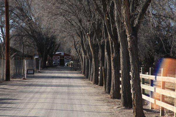 Discover Old Town Farm