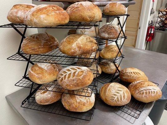 Sourdough loaves