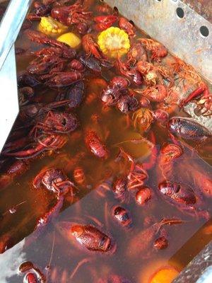 Crawfish