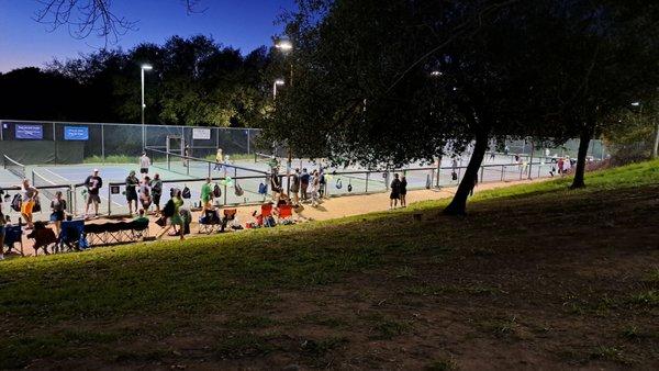 12 pickleball courts