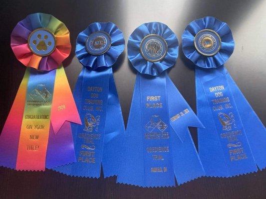 Axel's ribbons for completing his BN title!