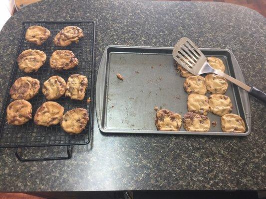 Who doesn't want fresh baked cookies and milk after school? A++ Tutoring Center Rocks!