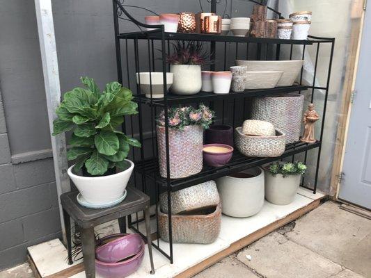 Greenhouse Display