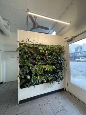 Interior Plant Wall