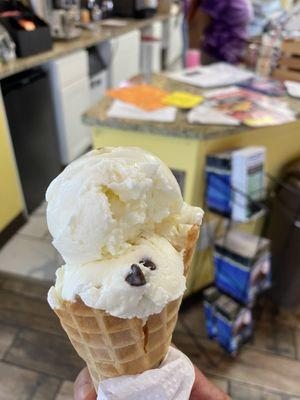 Mint Chocolate chip on a sugar cone.