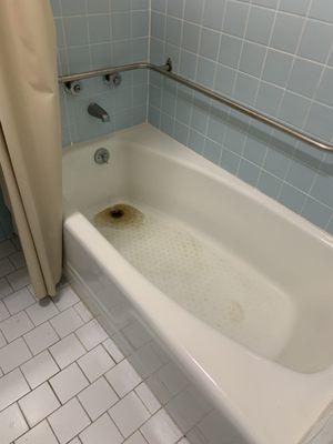 My bathtub