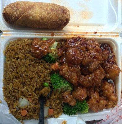 General Tso's Lunch Special  (Enough food for 2!)