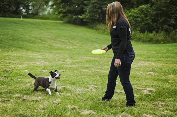 Frisbee time!