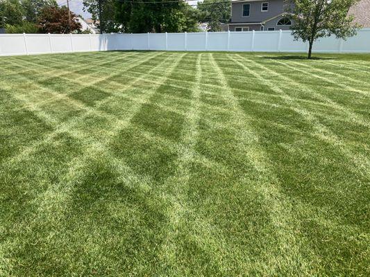 Seasonal lawn maintenance and striping patterns.