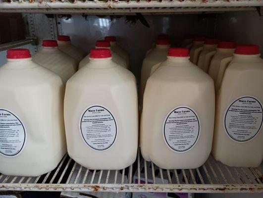 Fresh A2A2 raw milk!