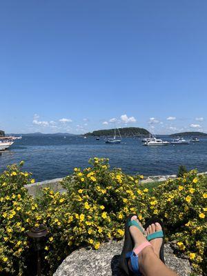 Adirondack chairs with a view